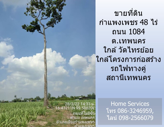 ายที่ดินกำแพงเพชร 48 ไร่ ถนน 1084 ต.เทพนคร ใกล้ วัดไทรย้อย ใกล้โครงการก่อสร้างรถไฟทางคู่ สถานีเทพนคร